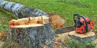 Best Emergency Tree Removal  in Hopatcong, NJ
