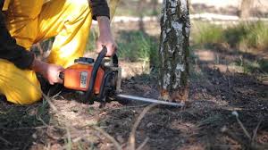 How Our Tree Care Process Works  in  Hopatcong, NJ