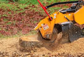 Best Lawn Drainage Solutions  in Hopatcong, NJ