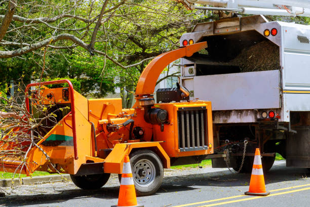 Best Soil Testing and Treatment  in Hopatcong, NJ