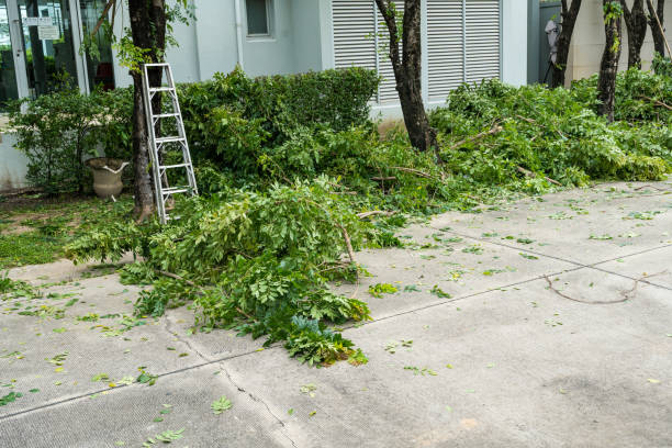 Best Storm Damage Tree Cleanup  in Hopatcong, NJ