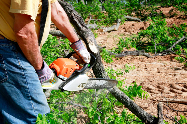 Best Tree Preservation Services  in Hopatcong, NJ